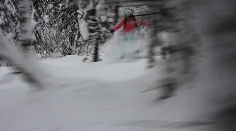 Snowboarding in forest Stock Footage 40936924