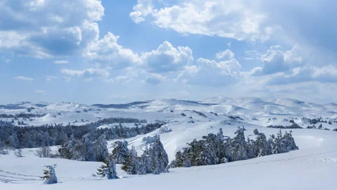 Snowbound forest glade at bright cold day 스톡 동영상 249150936