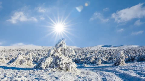 Snowbound forest under a sparkle sun Vídeos de archivo 320619331