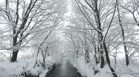 Snowbound landscape at river Stock Footage 30715855