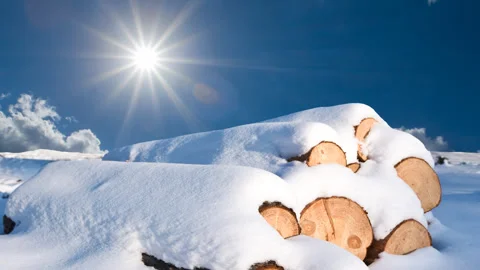 Snowbound logs on a winter plain Stock Footage 281656757