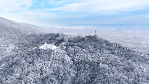 Snowbound Mountains With Cedars And Rime Ice 4K Aerial Video stock 320450376