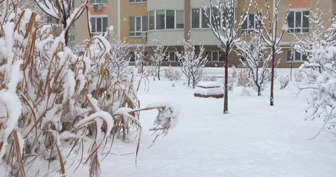 A snowbound path with bushes against the backdrop of a tall building Stock Footage 103251263
