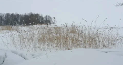 Snowbound winter landscape Stock Footage 106467163