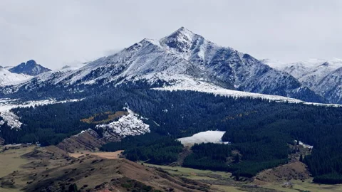 Snowcapped mountain peak with conifer forest and snow patches in winter Stock Footage 325651204