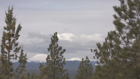Snowcapped Mountains through the Trees Stock Footage 88828333