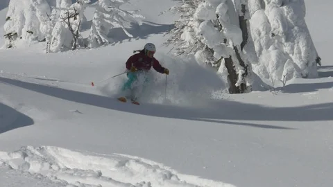 Snowcat Skiing3 Stock Footage