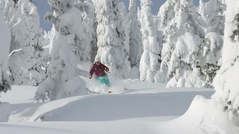 Snowcat Skiing7 Stock Footage