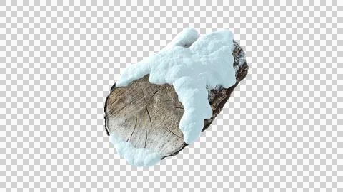 A snow‑covered fallen wood log lying on the ground 库存插图