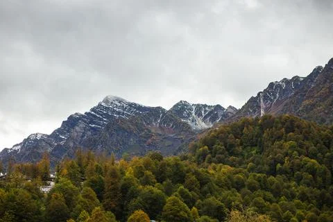 Snowcovered mountain with trees under a cloudy sky Foto stock
