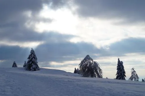 Snowday Stockfoto's