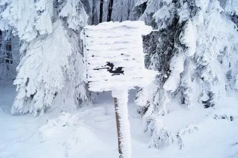 Snowday Stockfoto's