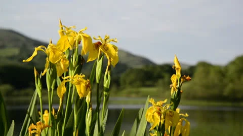 Snowdon180613 0202 Stock Footage 25856574