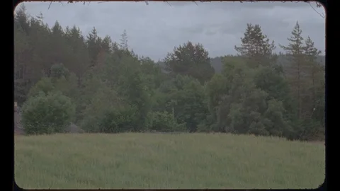 Snowdonia field with a forest in the background 2 Stock Footage 127775247