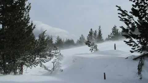 Snowdrift and winter blizzard Stock Footage 21992869