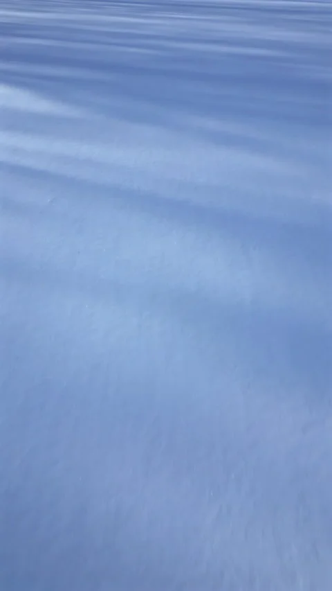 Snowdrift background with shadow of trees. Stock Footage 262150558