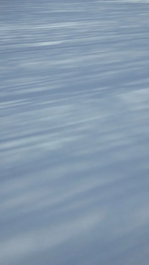 Snowdrift background with shadow of trees. Stock Footage 262151299