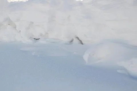 Snowdrift. Snow drift. Stock Photos
