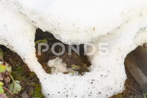 Snowdrift thaws in early spring in the garden Stock Photos