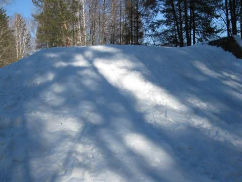 Snowdrift, tree trunks in the winter forest Stock Photos