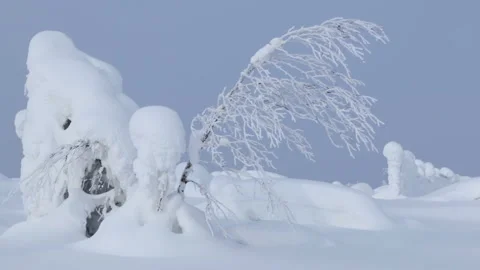 Snowdrifts and Thin Tree. Seamless Loop Stock Footage 106462965