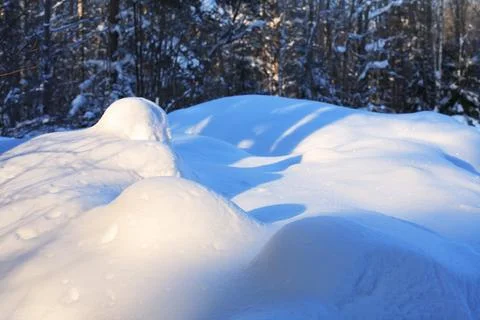 Snowdrifts In The Forest Stock Photos