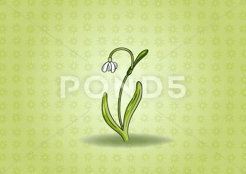 Snowdrop background Ilustraciones de archivo