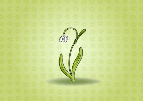 Snowdrop background Stock Illustration