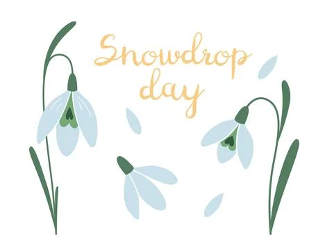 Snowdrop day, first spring flowers, cartoon style. Trendy modern vector Stock Illustration