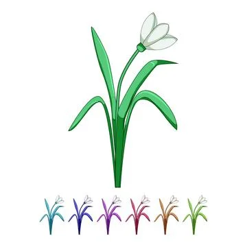 Snowdrop flower blooming early spring season graphic Stock Illustration