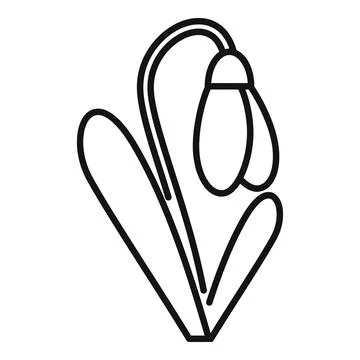 Snowdrop flower blooming with stem and leaves line art drawing Stock Illustration