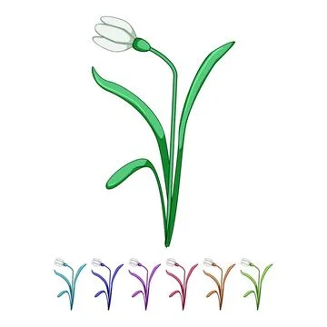 Snowdrop flower graphic symbolizing spring awakening and purity Stock Illustration