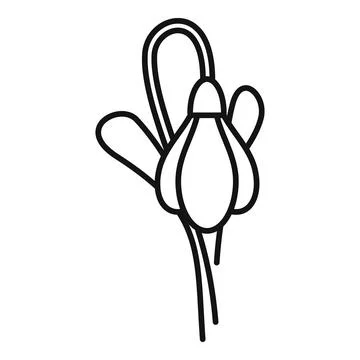 Snowdrop flower growing in spring with line art style Stock Illustration