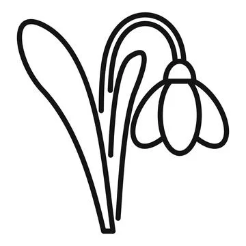 Snowdrop flower growing with stem and leaf icon Stock Illustration