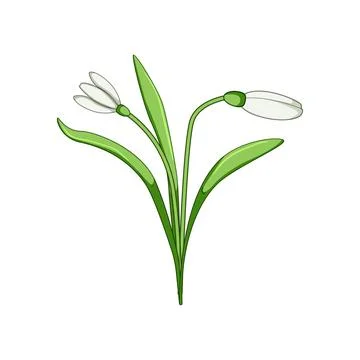 Snowdrop flower icon representing spring coming Stock Illustration
