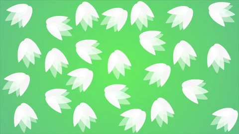 Snowdrop flowers background Stock Footage 332802815