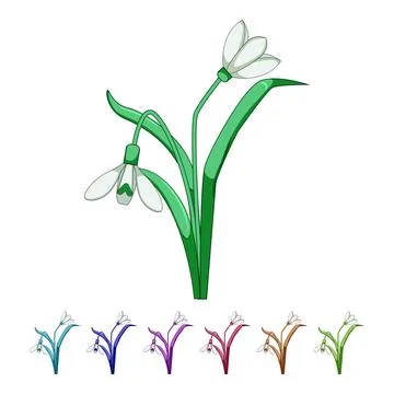Snowdrop flowers blooming vector graphic design Stock Illustration