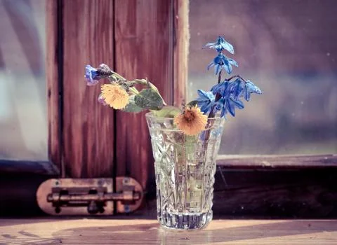Snowdrop flowers in a window in the spring 스톡 사진