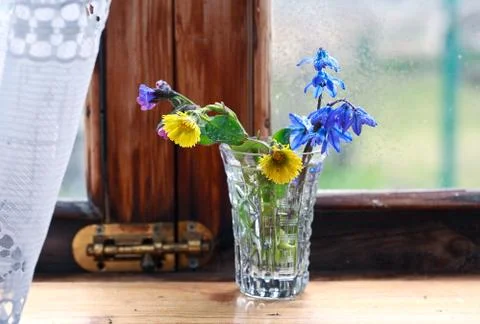 Snowdrop flowers in a window in the spring 스톡 사진