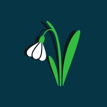 Snowdrop Illustrazione stock