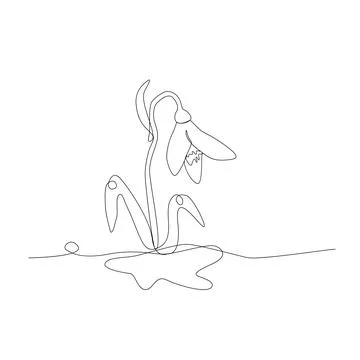 Snowdrop isolated in line art style outline. Stock Illustration