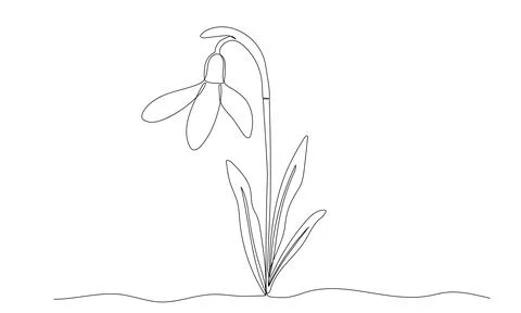 Snowdrop one continuous line illustration. Hand drawn doodle drawing of sprin Stock Illustration