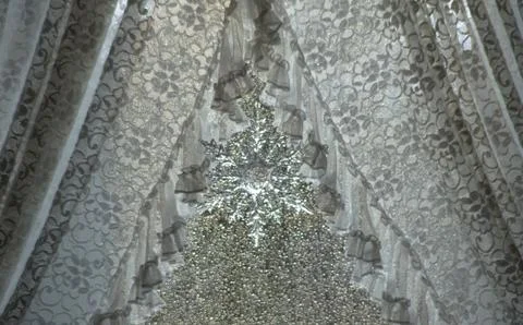 Snowdrop Stock Photos