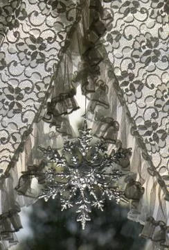 Snowdrop Stock Photos