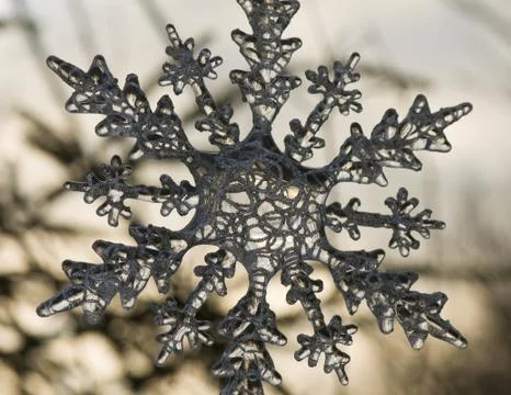 Snowdrop Stock Photos