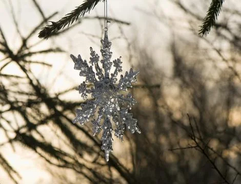 Snowdrop Stock Photos