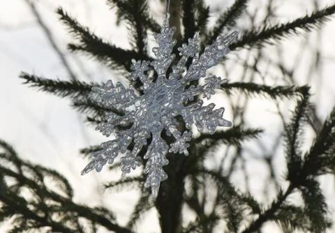 Snowdrop Stock Photos