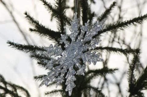 Snowdrop Stock Photos