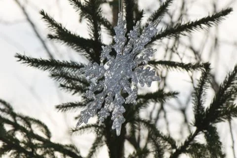 Snowdrop Stock Photos