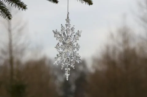 Snowdrop Stock Photos